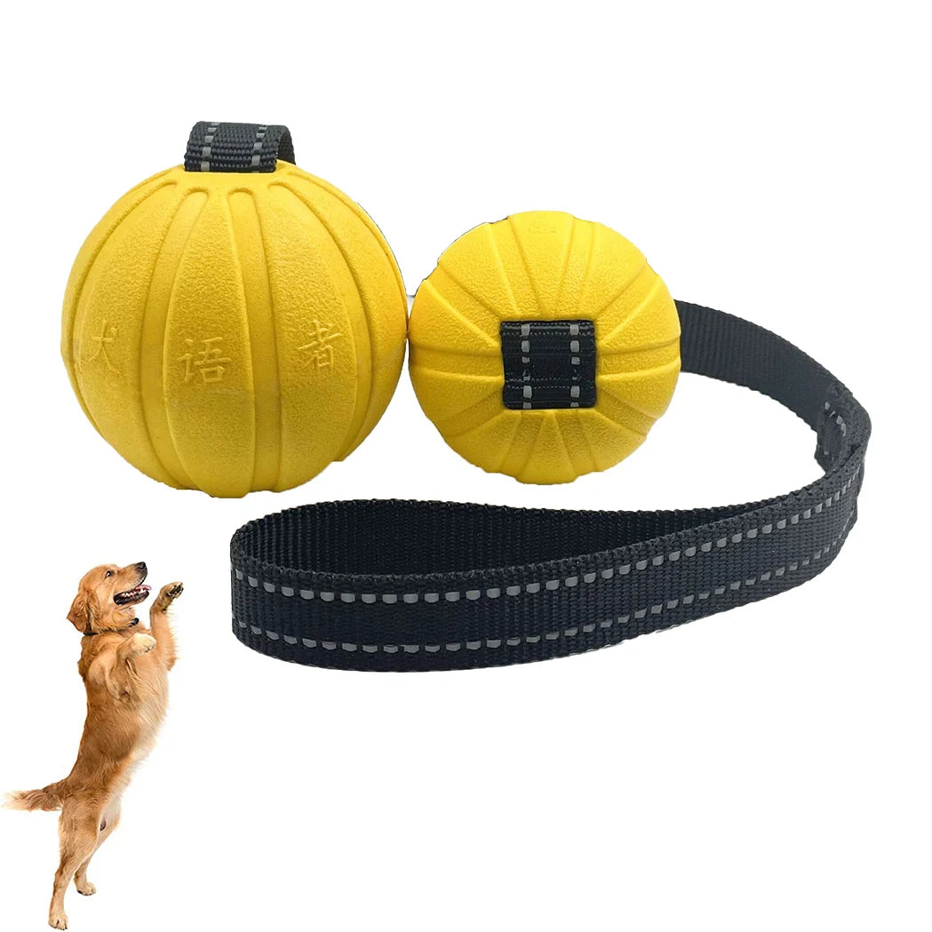 Bola Interativa para Cães com Corda – EVA Flutuante e Durável