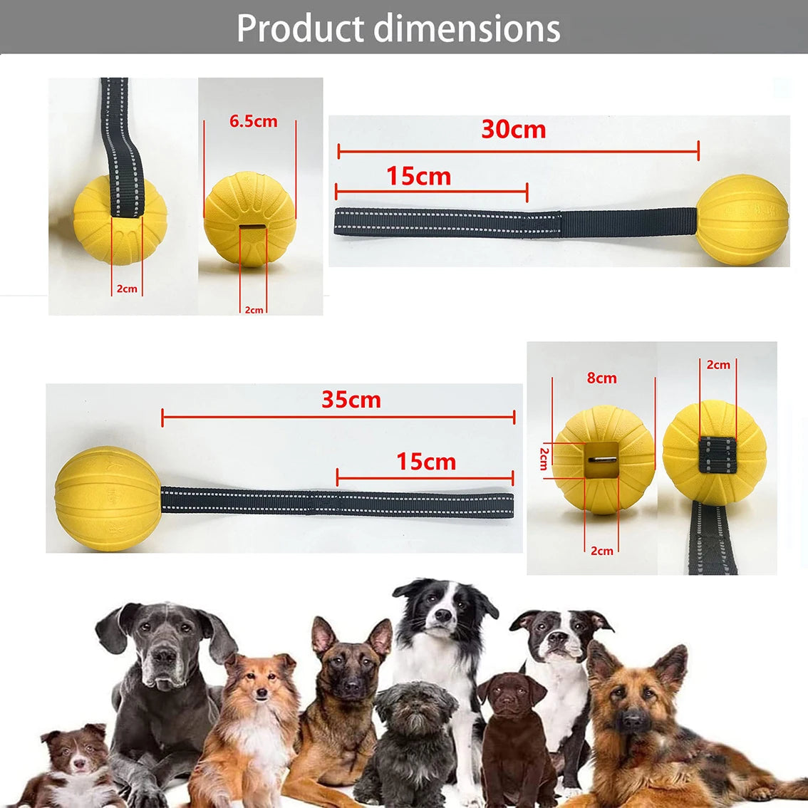 Bola Interativa para Cães com Corda – EVA Flutuante e Durável