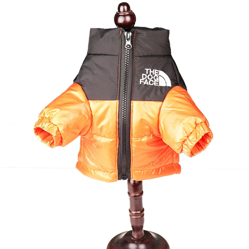 Roupas de Inverno para Cachorro: Conforto e Proteção Térmica | The Dog Face