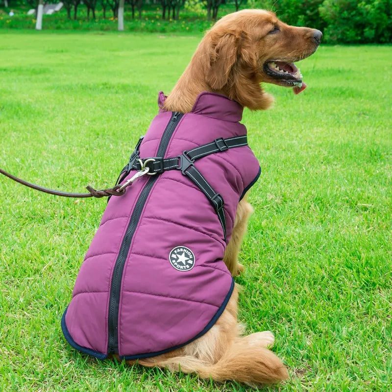 Jaqueta de Inverno p/ Cães com Arnês | Forrada e Impermeável