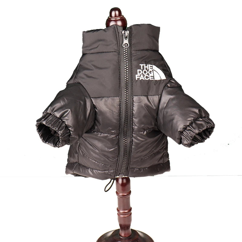 Roupas de Inverno para Cachorro: Conforto e Proteção Térmica | The Dog Face