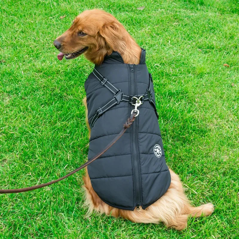 Jaqueta de Inverno p/ Cães com Arnês | Forrada e Impermeável