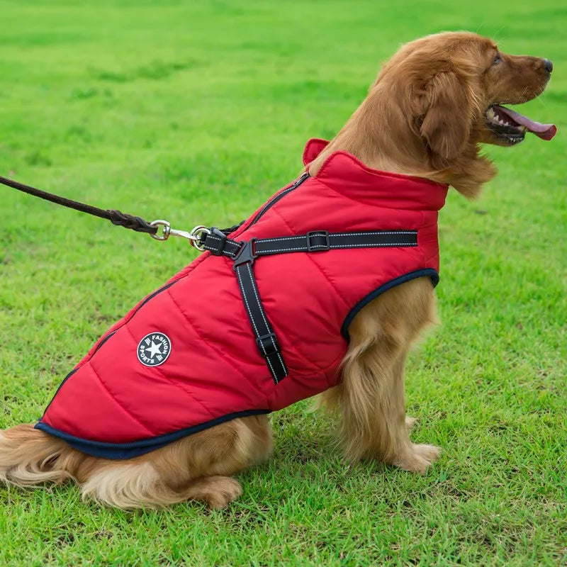 Jaqueta de Inverno p/ Cães com Arnês | Forrada e Impermeável