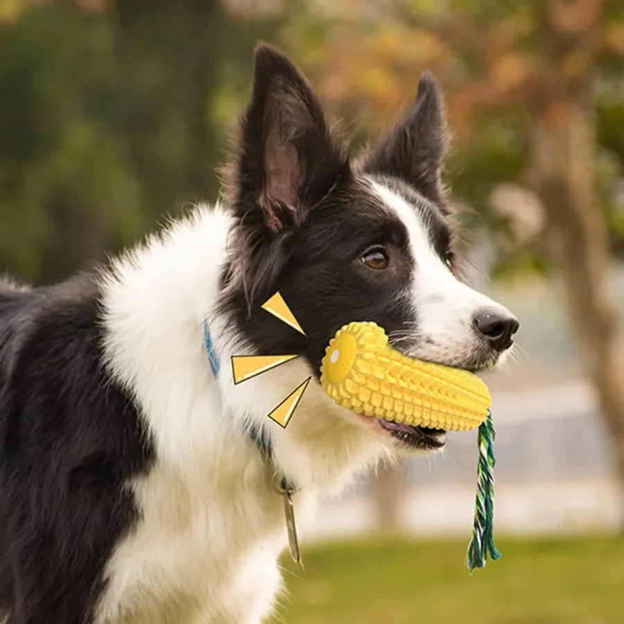 Brinquedo de Milho para Cães – Limpa Dentes e Alivia Estresse