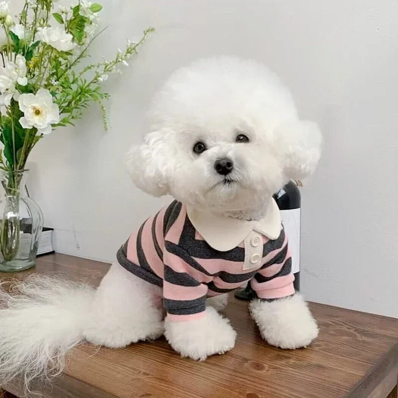 Camisa Refrescante com UV p/ Cães | Antipulgas e Estilo