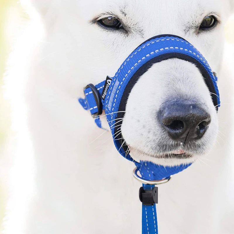 Focinheira para Cães Antipuxão – Treinamento e Segurança