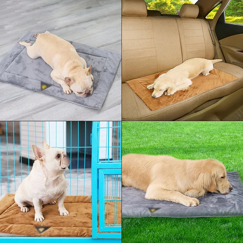 Esteira Térmica Antiderrapante para Cães e Gatos