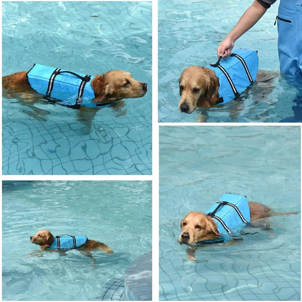 Colete Salva-Vidas para Cães com Alça, Refletivo e Ajustável