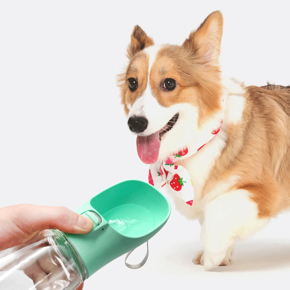 Garrafa Portátil para Cães | Antivazamento e Leve