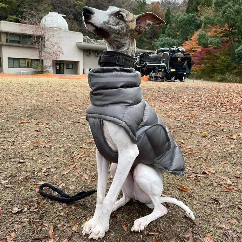 Casaco Pet de Inverno | Quentinho, Estiloso e Impermeável