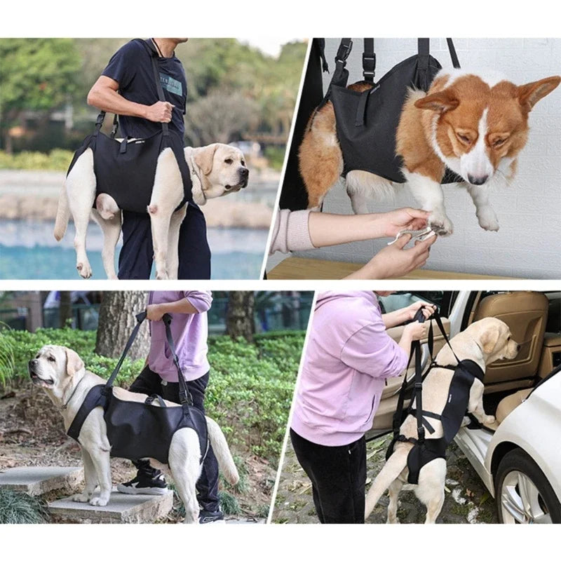 Arnês de Elevação para Cães Grandes | Suporte e Conforto