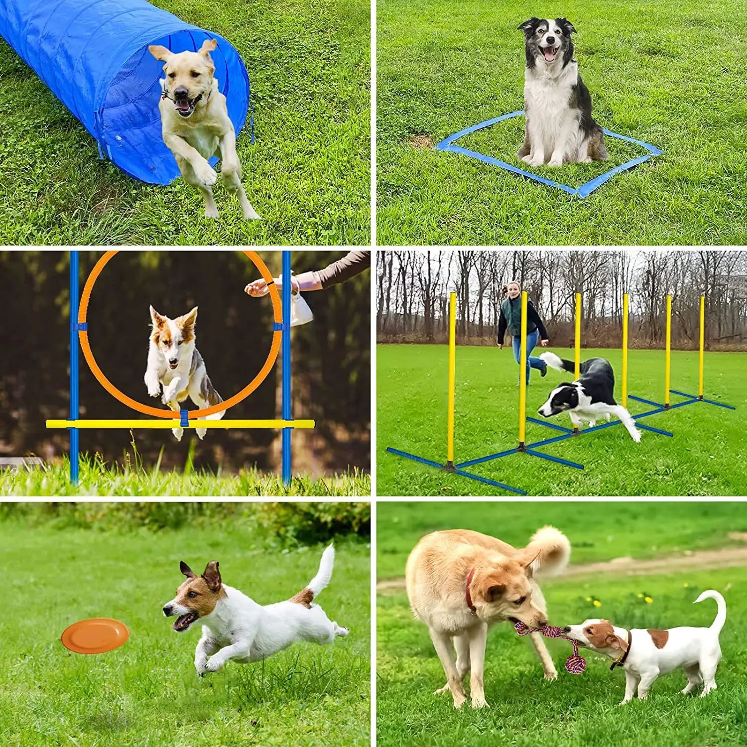 Kit Treinamento de Agilidade para Cães – Equipamento Interativo