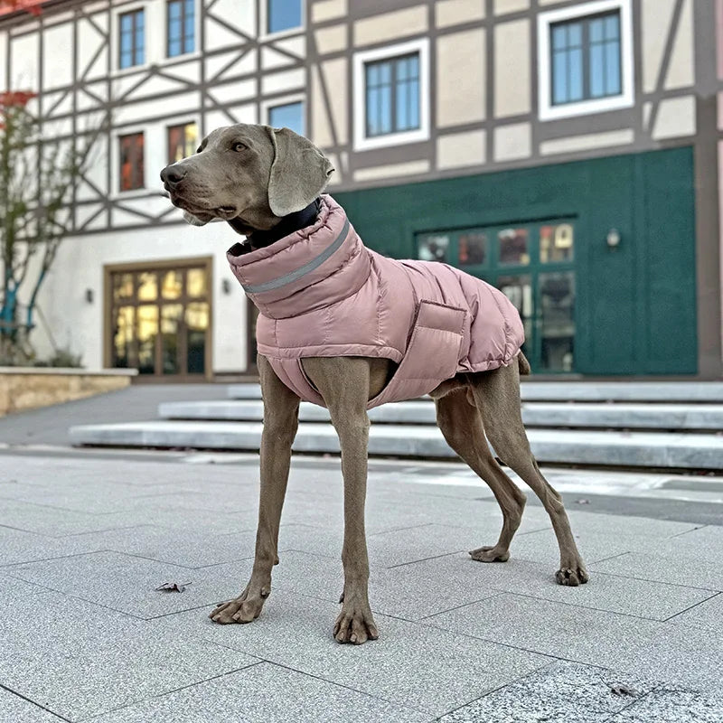 Casaco Pet de Inverno | Quentinho, Estiloso e Impermeável