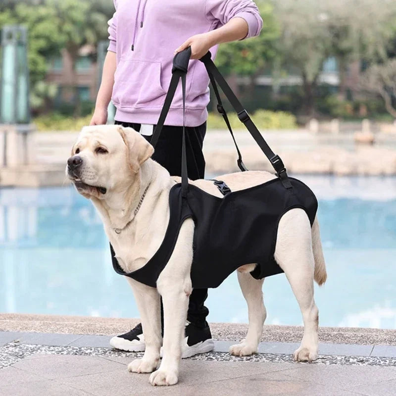 Arnês de Elevação para Cães Grandes | Suporte e Conforto