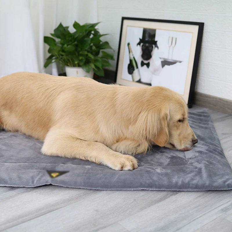 Esteira Térmica Antiderrapante para Cães e Gatos