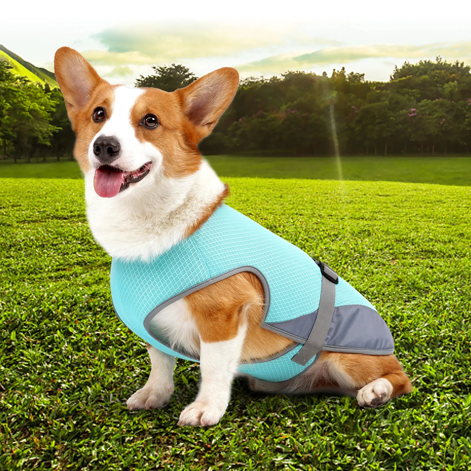 Colete de Resfriamento para Cães – Leve e Respirável