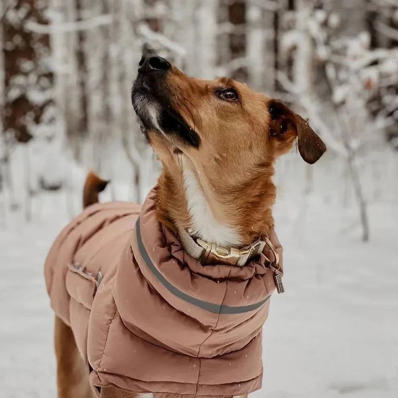 Casaco Pet de Inverno | Quentinho, Estiloso e Impermeável