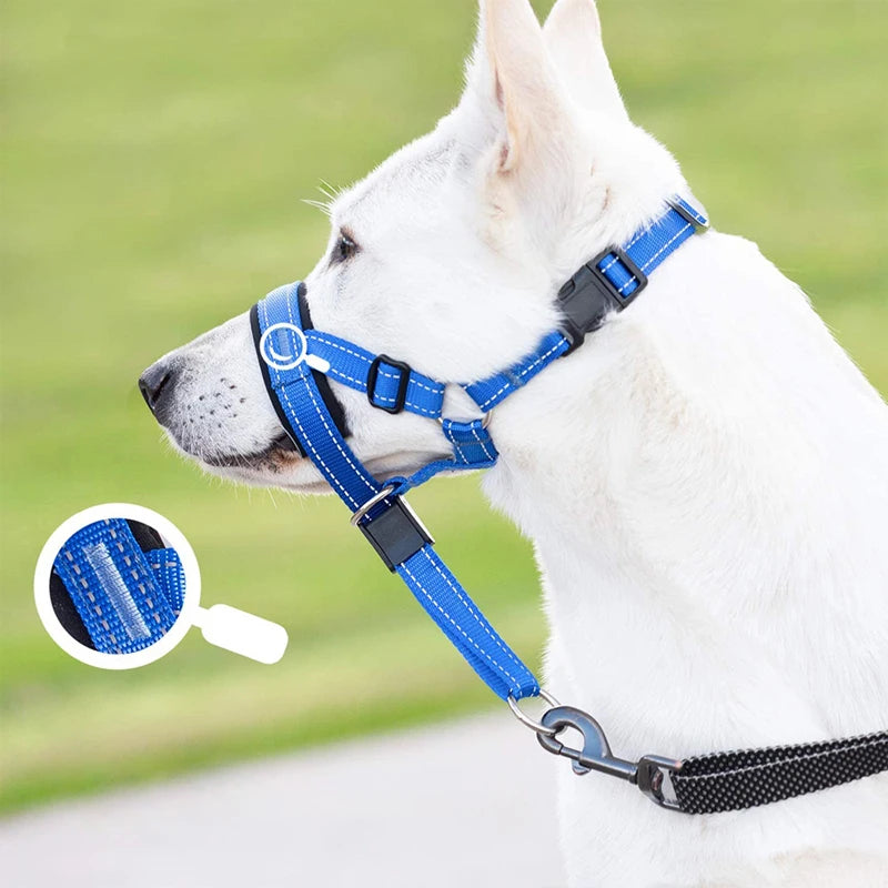 Focinheira para Cães Antipuxão – Treinamento e Segurança