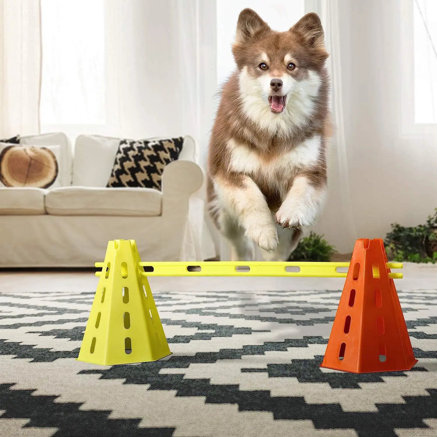 Kit Treinamento de Agilidade para Cães – Equipamento Interativo