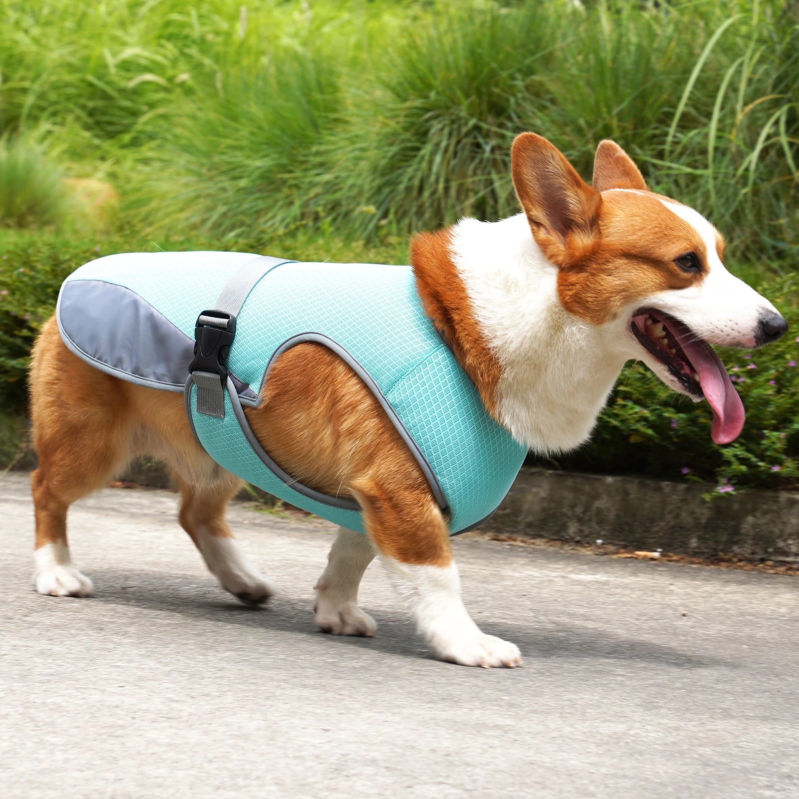 Colete de Resfriamento para Cães – Leve e Respirável