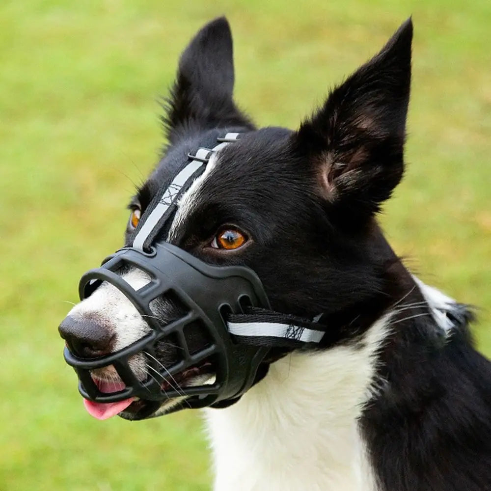 Focinho Antimordida Ajustável e Respirável p/ Cães