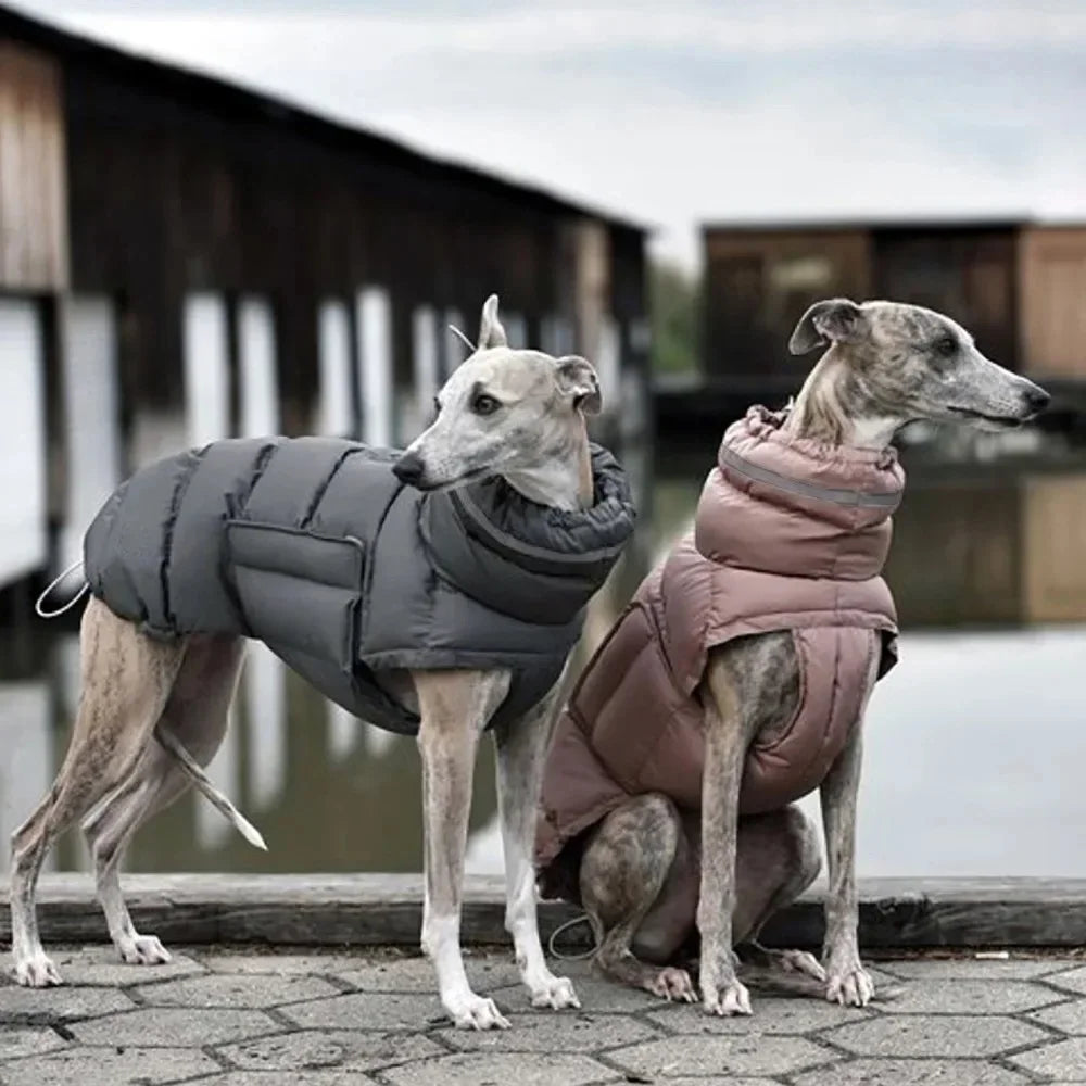 Casaco Pet de Inverno | Quentinho, Estiloso e Impermeável