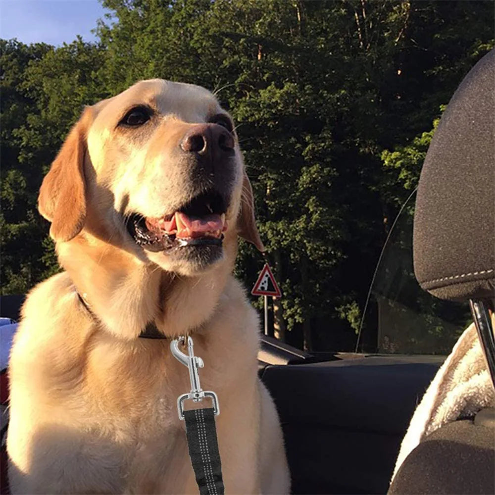 Cinto de Segurança para Cães – Reflexivo e Ajustável