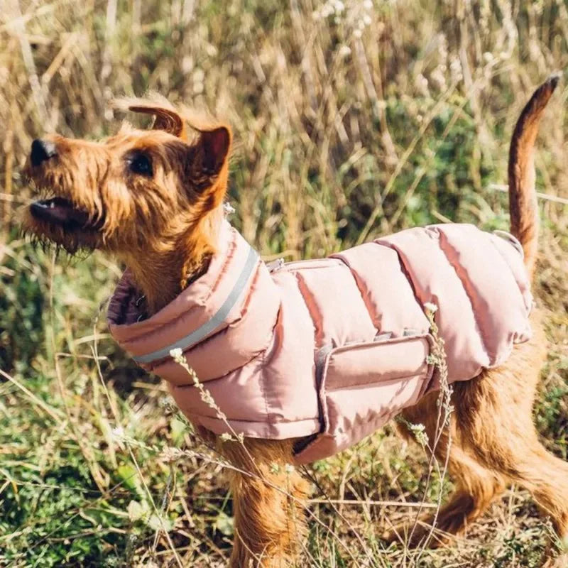 Casaco Pet de Inverno | Quentinho, Estiloso e Impermeável