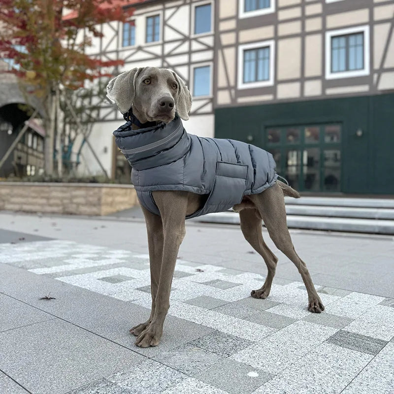 Casaco Pet de Inverno | Quentinho, Estiloso e Impermeável