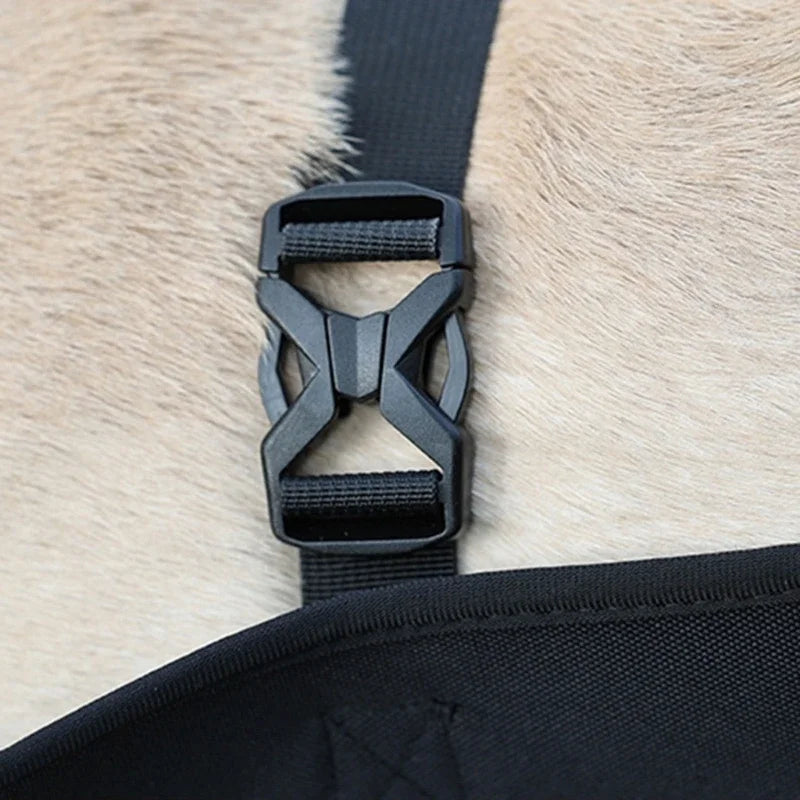 Arnês de Elevação para Cães Grandes | Suporte e Conforto