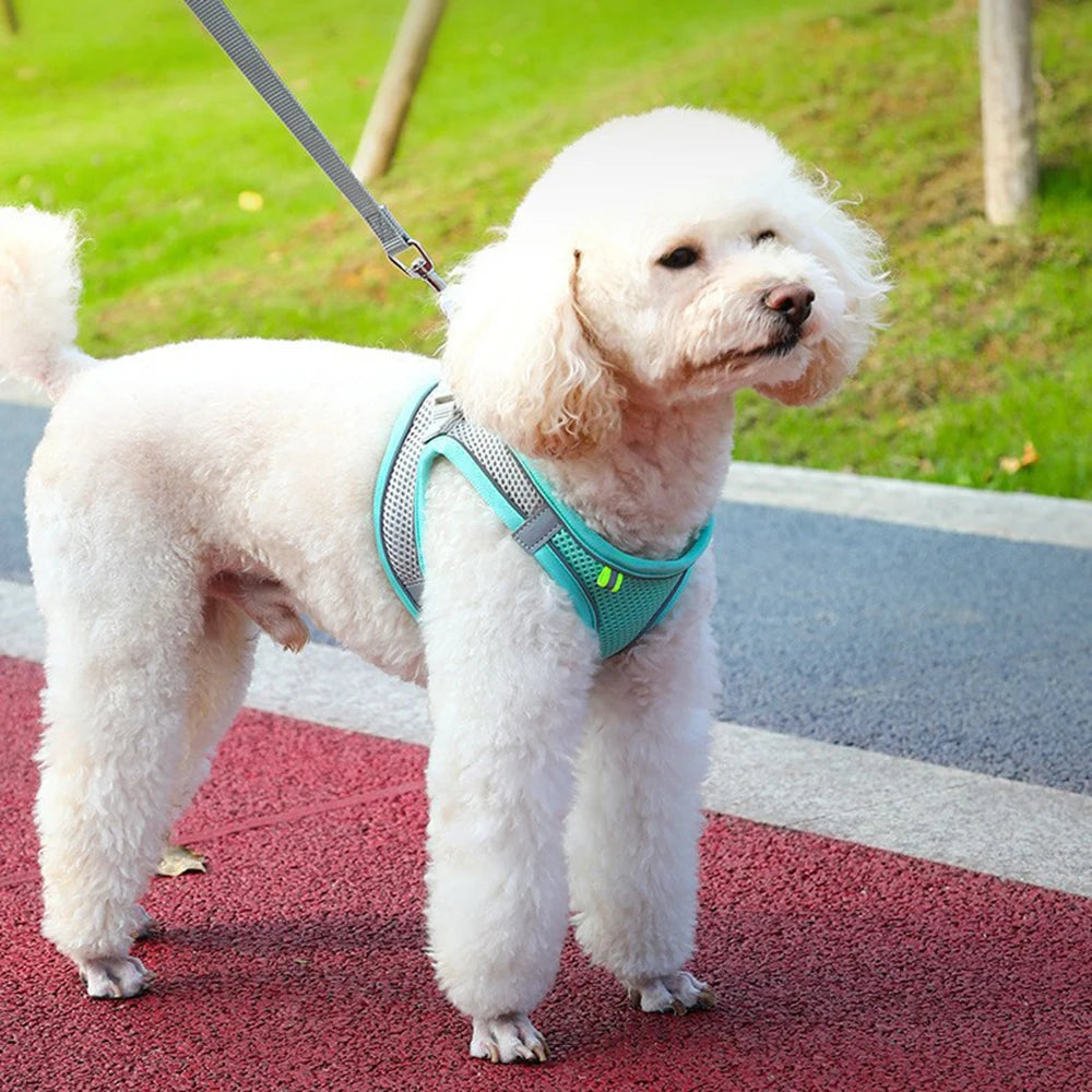 Colete Peitoral Respirável e Confortável p/ Pets