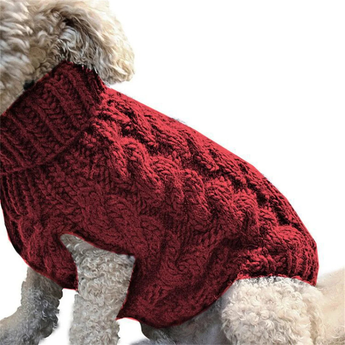 Suéter Quente para Cães Pequenos e Gatos – Estilo e Conforto