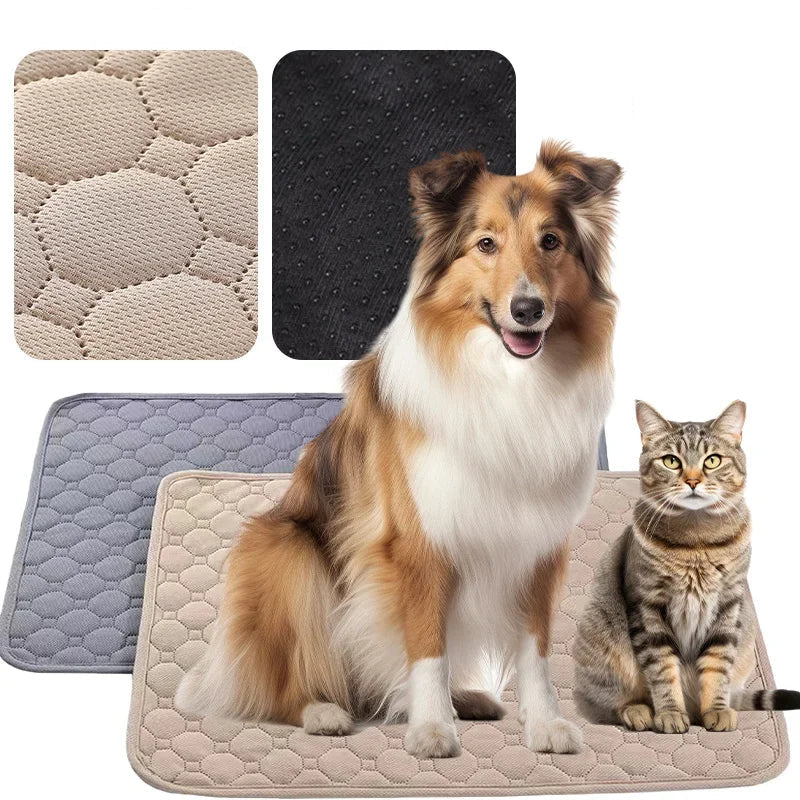Tapete Higiênico Reutilizável p/ Cães – Lavável e Absorvente