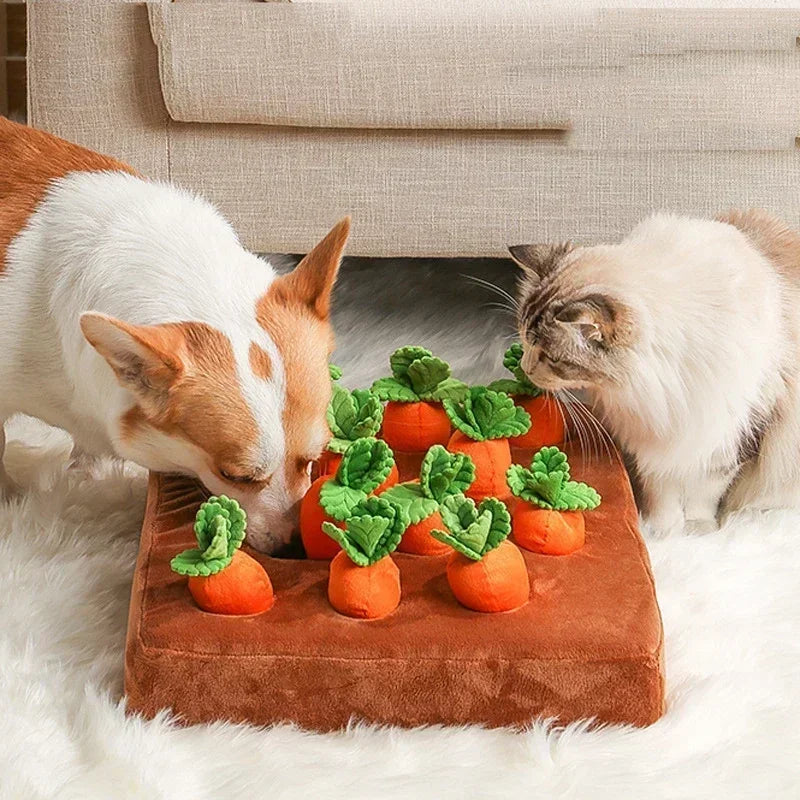 Brinquedo Pet Cenoura Snuffle – Antiestresse e Interativo