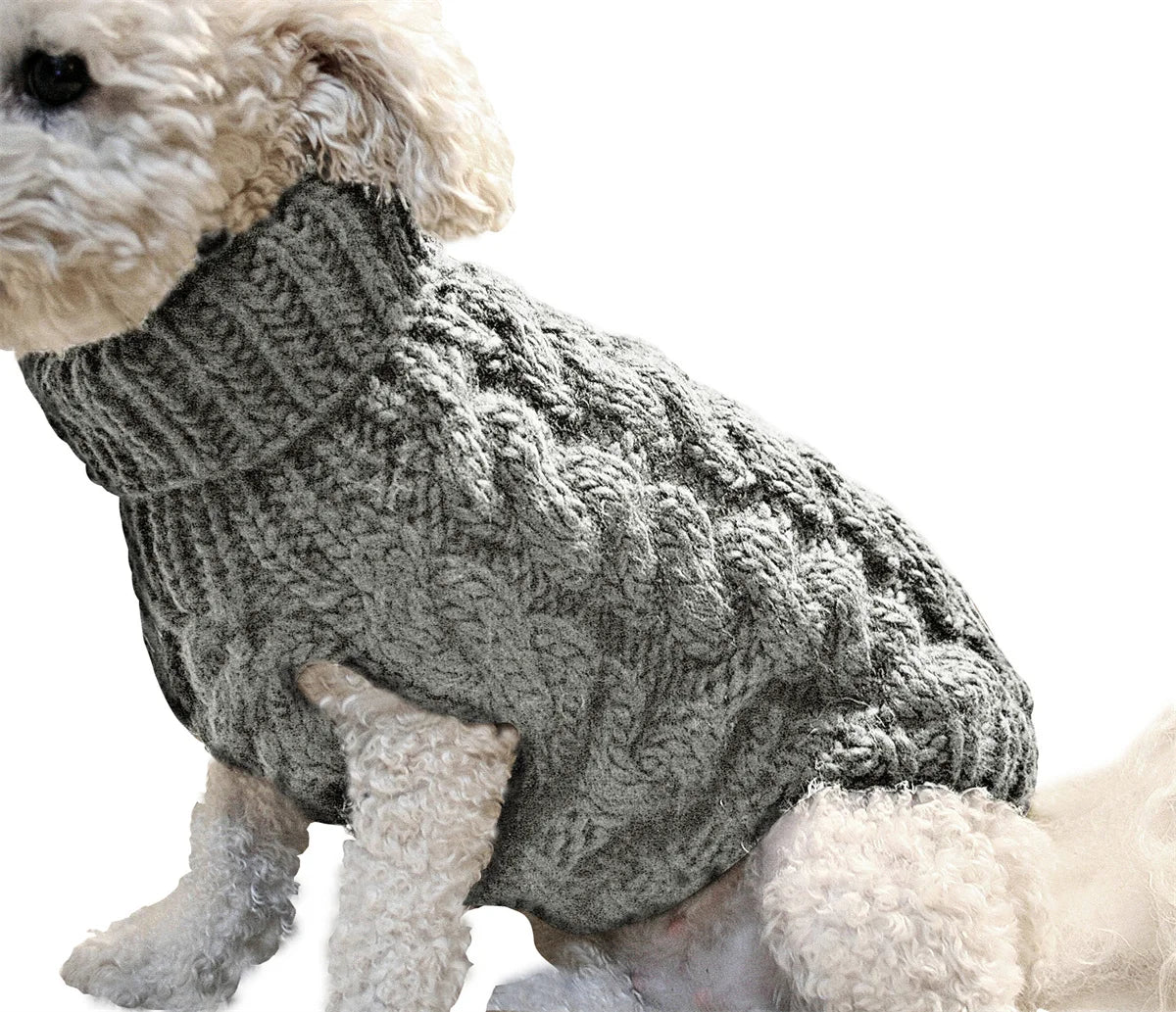 Suéter Quente para Cães Pequenos e Gatos – Estilo e Conforto