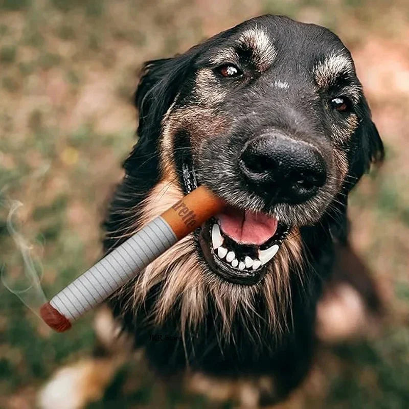 Brinquedo Interativo de Pelúcia Cigarro para Pets – Resistente