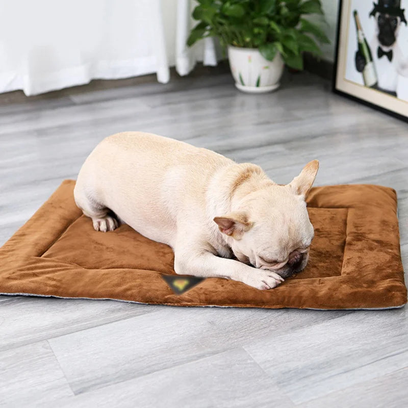 Esteira Térmica Antiderrapante para Cães e Gatos