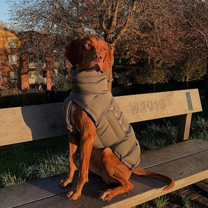Casaco Pet de Inverno | Quentinho, Estiloso e Impermeável