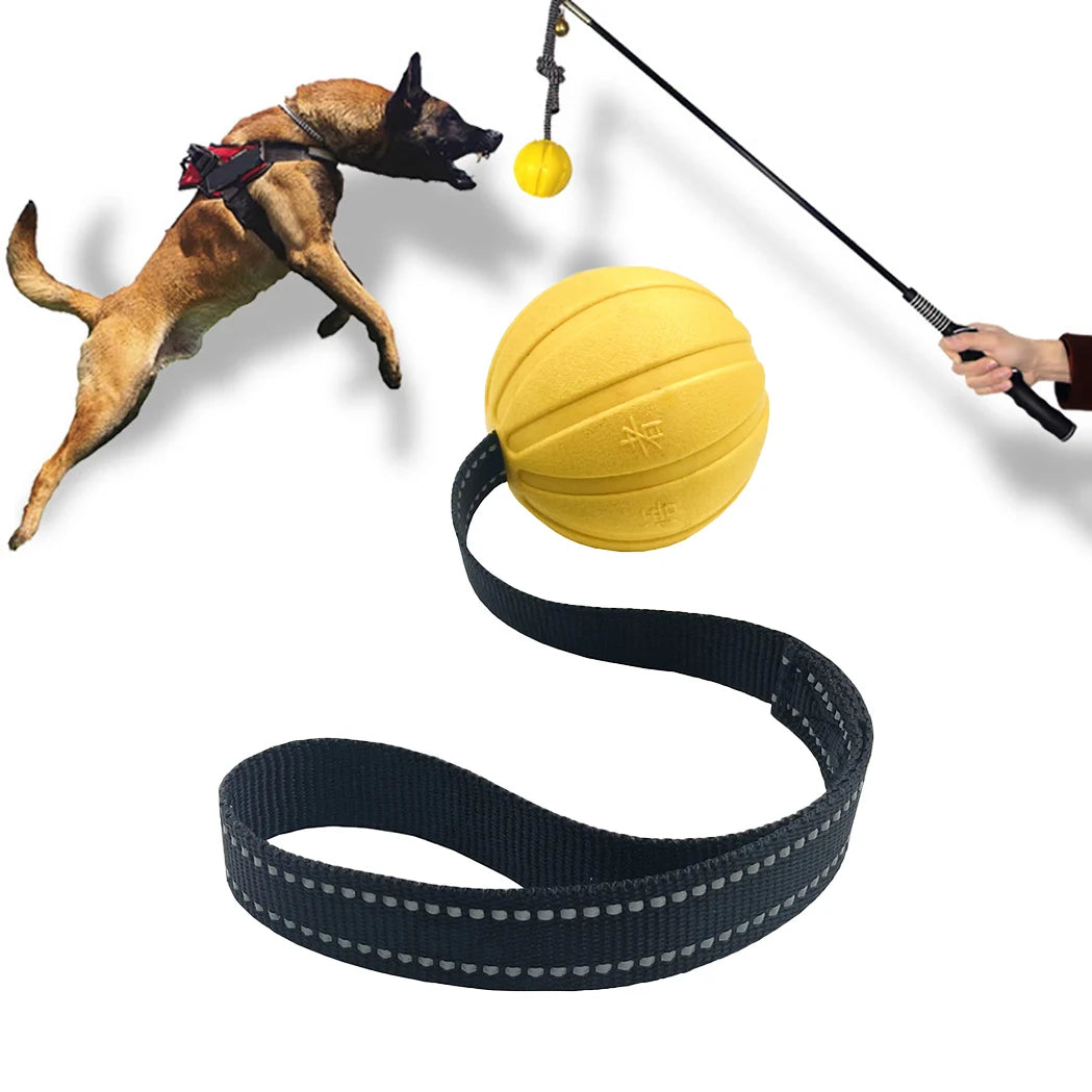 Bola Interativa para Cães com Corda – EVA Flutuante e Durável