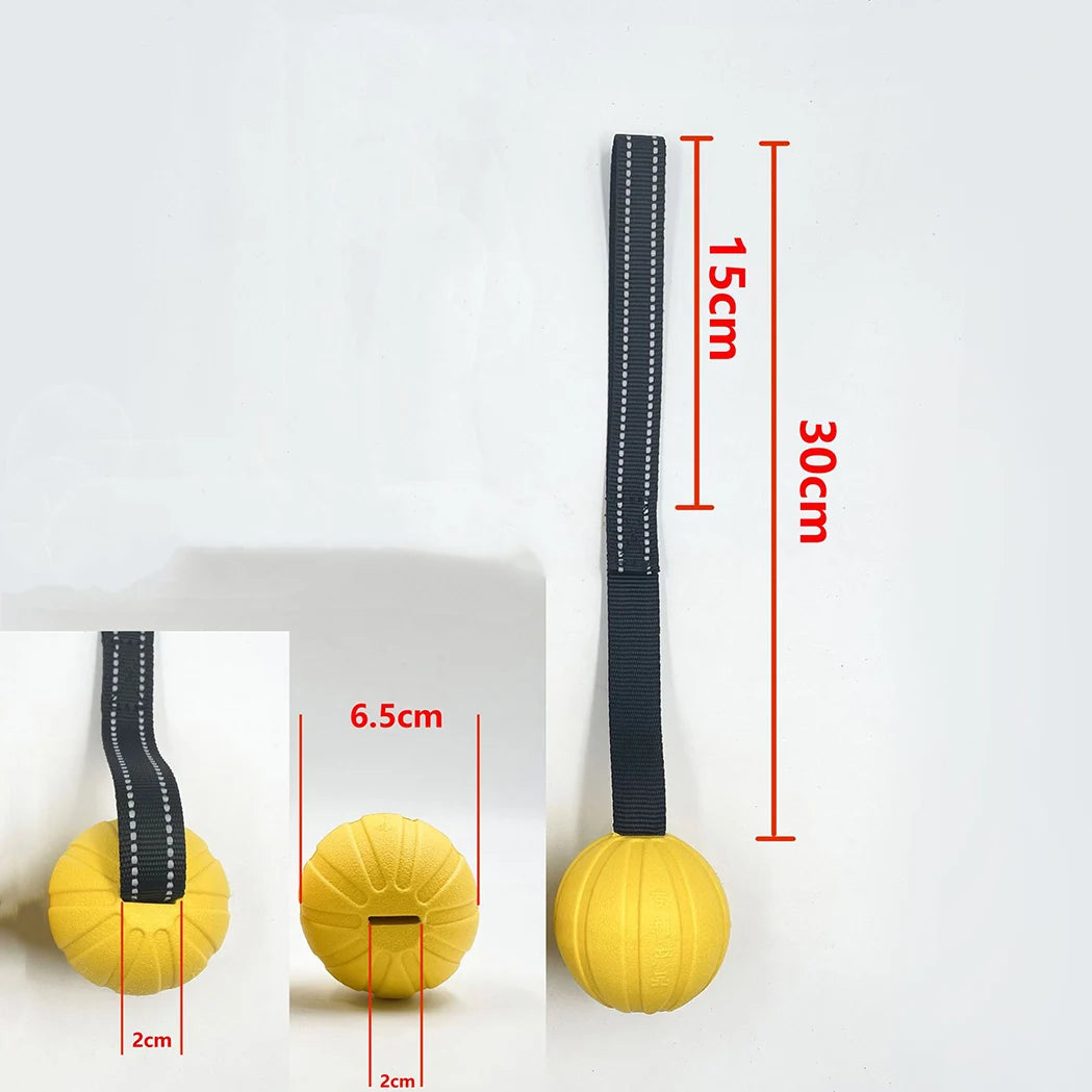 Bola Interativa para Cães com Corda – EVA Flutuante e Durável