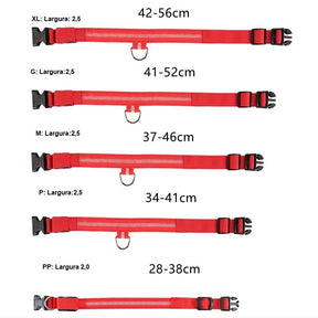 Coleira Brilhante USB para Pets Pequenos – Alta Visibilidade