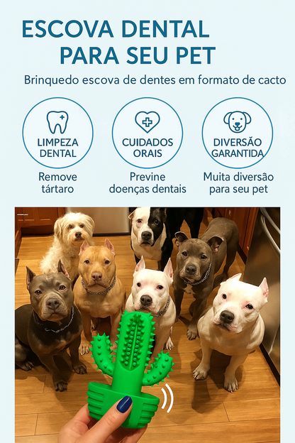Cactus Interativo para Cães | Escova, Alívio e Diversão