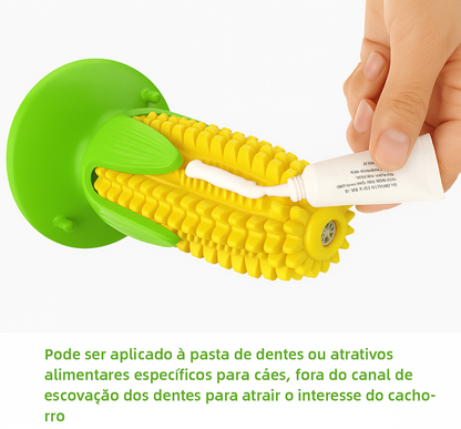 Milho Mordedor com Ventosa para Cães | Antiestresse
