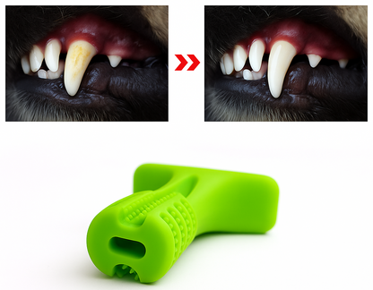 Brinquedo Mordedor para Cães | Alívio, Higiene e Diversão