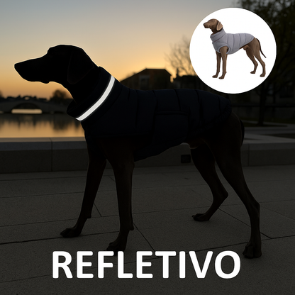 Casaco Pet de Inverno | Quentinho, Estiloso e Impermeável