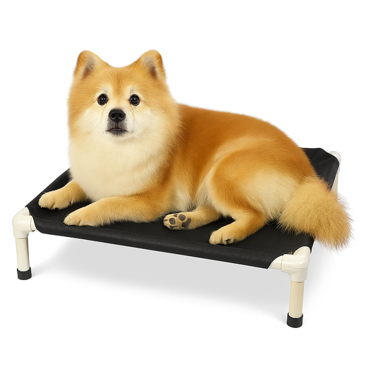 Cama Elevada Dobrável para Pets – Fácil de Lavar e Portátil