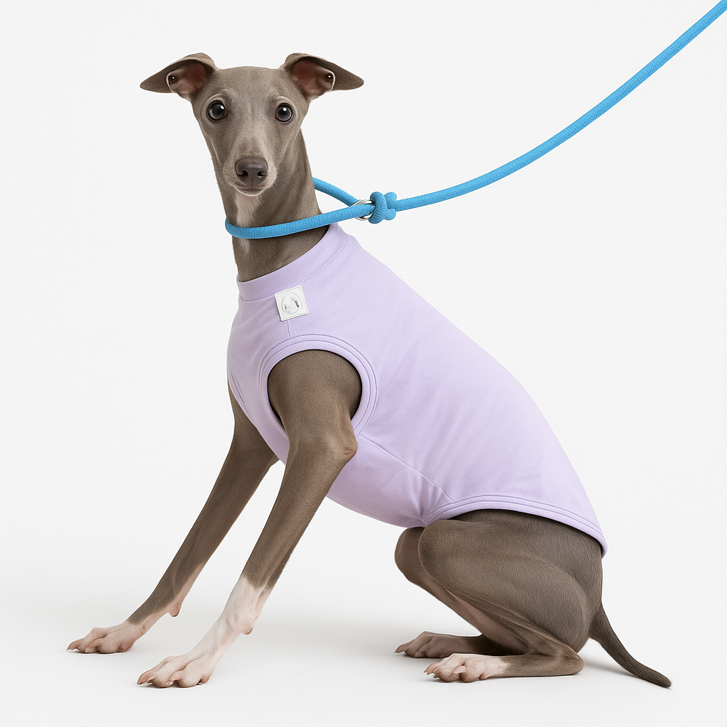 Colete Refrescante p/ Cães - Respirável, Anatômico e com proteção UV