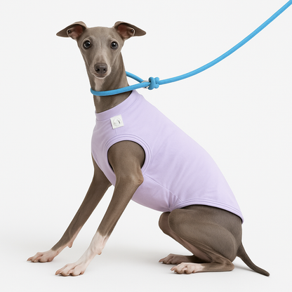 Colete Refrescante p/ Cães - Respirável, Anatômico e com proteção UV