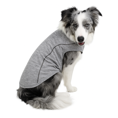 Camisa para Cães UV | Reflexiva e Secagem Rápida