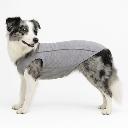 Camisa para Cães UV | Reflexiva e Secagem Rápida